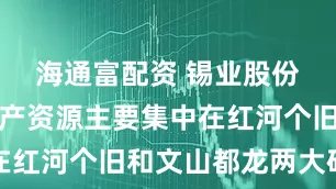 海通富配资 锡业股份：公司矿产资源主要集中在红河个旧和文山都龙两大矿区