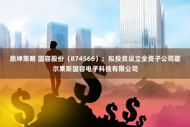 鼎坤策略 国容股份（874566）：拟投资设立全资子公司霍尔果斯国容电子科技有限公司