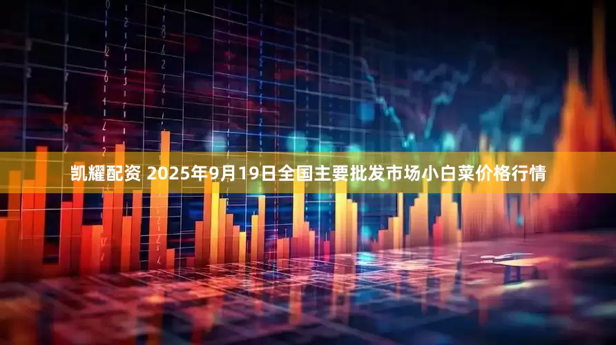 凯耀配资 2025年9月19日全国主要批发市场小白菜价格行情
